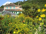 La maison de Claude Monet et son jardin à Giverny