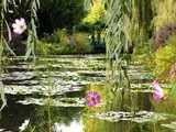 Les Nymphéas de Claude Monet à Giverny