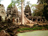 Les Temples d'Angkor et la Nature ! Cambodge