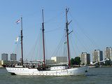 Régate de vieux Gréements dans le Port de Rotterdam, Hollande
