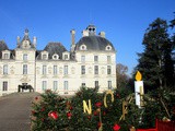 Visite du Château de Cheverny