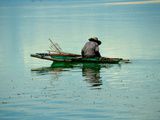 Concours photo : juin 2011 « Ant the winner is… »