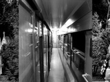 Entre Bratislava et Lviv, train du destin