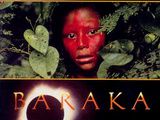 Film à decouvrir : Baraka, Ron Fricke, 1992
