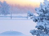 Finlande : un séjour en Laponie