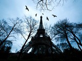 Je crois que je l’aime