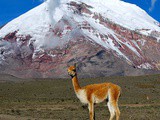 L’Equateur à découvrir