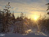 La Neige enfin de retour en France