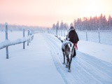 Laponie : à la découverte des traditions et de la culture sami