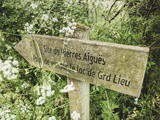 Loire-Atlantique : à la découverte du lac de Grand-Lieu