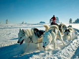 Menu 2014 : Elbrouz, Game of Thrones, Mont Blanc et plus de 1000km de treks au dessert