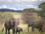 Mon safari en Tanzanie : 5 erreurs à éviter