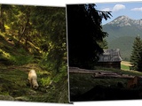 Tour de Pologne : Zakopane