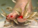 Tu veux gagner un massage et une fishpedicure