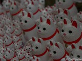 Interview de blogueurs voyageurs : partir avec Aala, un Gaijin au Japon