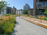 La High Line