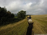 A la découverte du comté de Wicklow