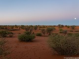 Désert du Kalahari – Un désert mythique de Namibie