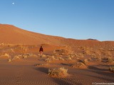 Désert du Namib et Sossusvlei – Un lieu incontournable de Namibie