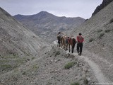 Trek au Ladakh – La Vallée de la Markha
