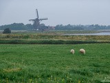 Visite de Texel, la plus grande île de la Mer des Wadden