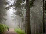 Visiter la Forêt Noire – Mes 10 idées d’activités à faire