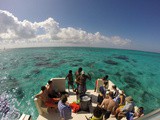 Stingray city and Rum point