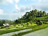 Retraite spirituelle à Bali : un voyage intérieur inoubliable