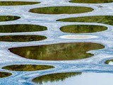 Spotted Lake : une merveille naturelle incontournable à découvrir lors d’un voyage