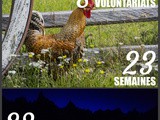 1 an de voyage, le bilan en image