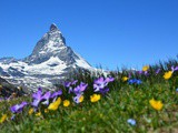 5 bonnes raisons de visiter les Alpes suisses en été en voiture