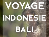 Guide pratique pour voyager en Indonésie