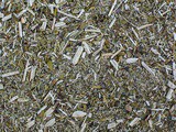 Maté, tout savoir sur cette Boisson énergétique naturelle venue d’Argentine