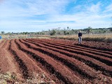 Notre volontariat en terre Guarani