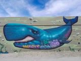 Péninsule Valdés et Punta Tombo : le spot des animaux marins