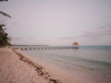 Quand partir dans les Caraïbes ? Le guide pour choisir la meilleure période