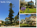Santa Cruz, la côte Californienne... rituel de balade