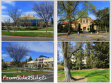 Visiter une université aux Etats-Unis : uc davis in California