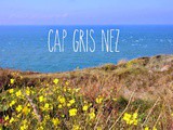 Cap Gris-Nez