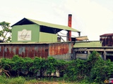 La distillerie Longueteau en Guadeloupe