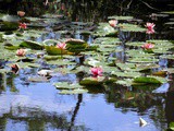 Maison et Jardins de Claude Monet à Giverny
