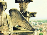 Sur les toits de la Cathédrale de Reims