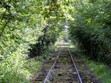 Sur une voie de chemin de fer abandonnée