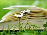 10 livres marquants (hors voyage) que j’ai lu en 2017