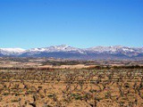 7 choses à faire à la Rioja, sur la route des vins