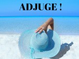 Achetez votre voyage aux enchères