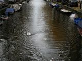 Amsterdam : ses canaux, ses coffee shops, son quartier rouge