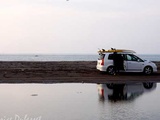 Arica: lions de mer et surf