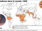 Comment j’ai attrapé le paludisme (et ce que vous devez savoir dessus)