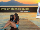 Ivcast 34 : Voyager avec un chien, le guide